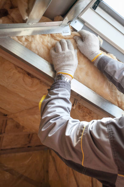 Best Eco-Friendly Insulation in Roebling, NJ