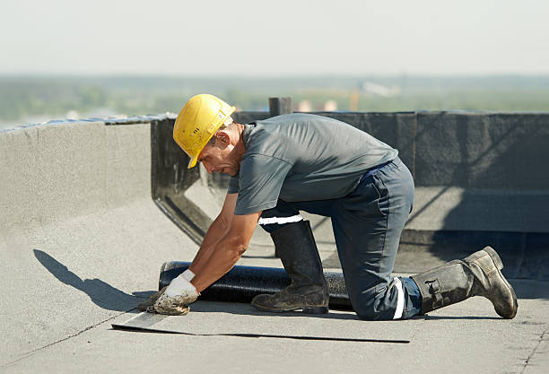 Best Spray Foam Insulation in Roebling, NJ