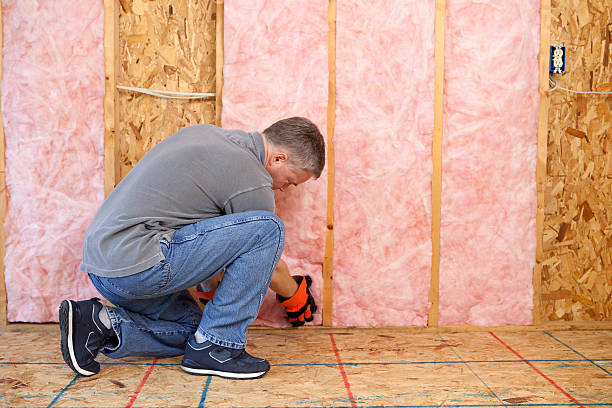 Best Geographic-Specific Insulation Services in Roebling, NJ